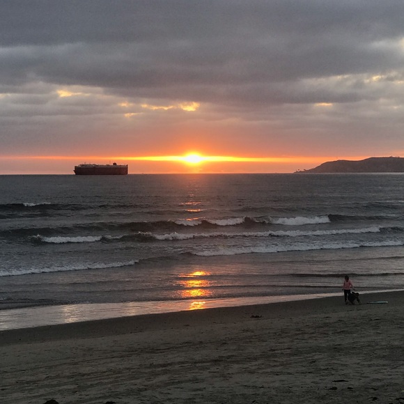 Meet your Posher, Sherry - Picture 1 of 1